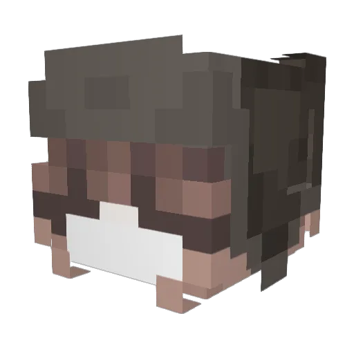 Smile2131 Minecraft avatar head, 3D render