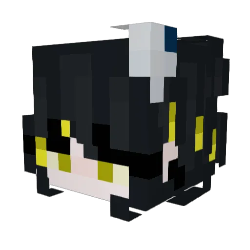 SmileplzSunfish Minecraft avatar head, 3D render