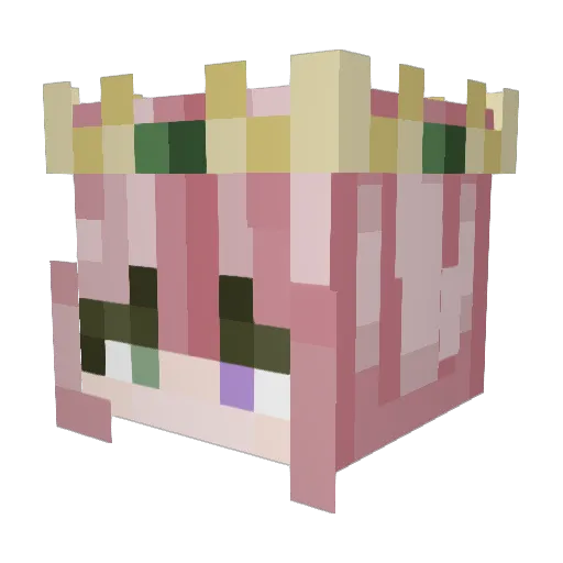 SmileyReiley Minecraft avatar head, 3D render