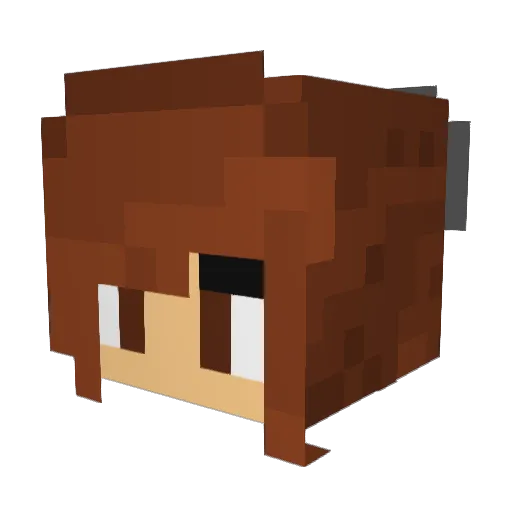 SmileyReilly22 Minecraft avatar head, 3D render