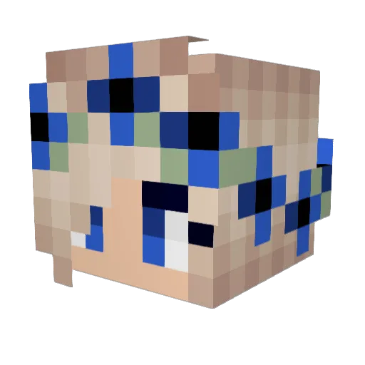 SmileySausage75 Minecraft avatar head, 3D render
