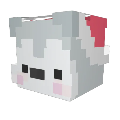 SmileyTurtle11 Minecraft avatar head, 3D render