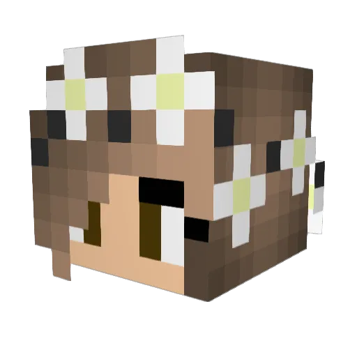 Smileyface_123 Minecraft avatar head, 3D render
