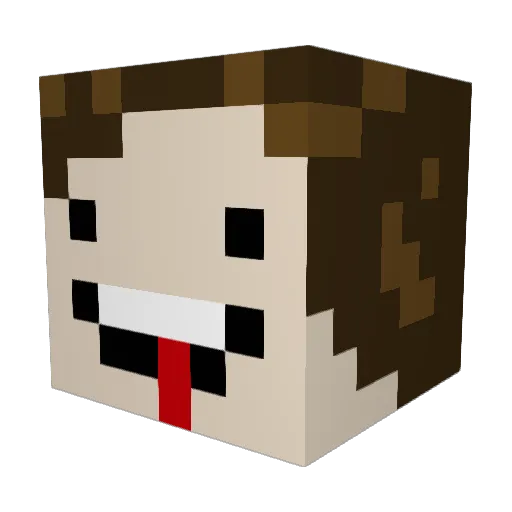 SmilingFoe Minecraft avatar head, 3D render