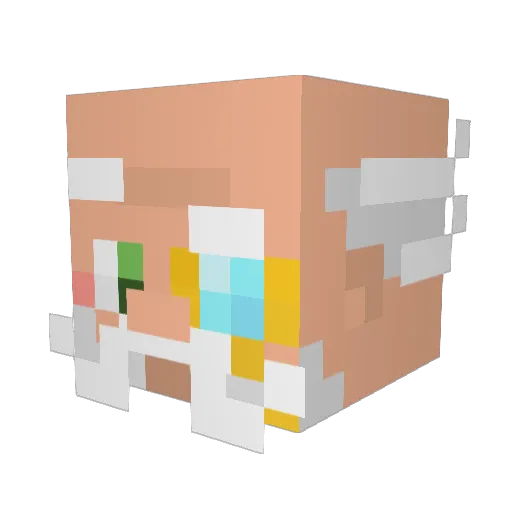 SmilingSoda7866 Minecraft avatar head, 3D render