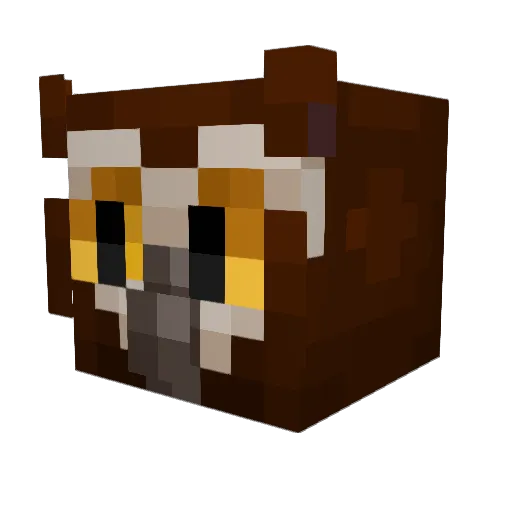 SmilingWombat Minecraft avatar head, 3D render