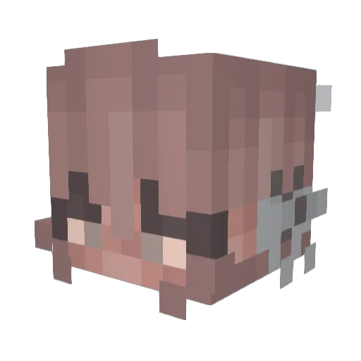Smilla1011 Minecraft avatar head, 3D render