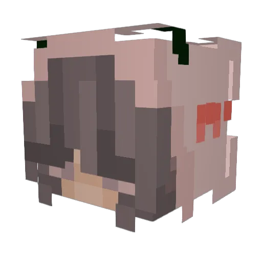Smilla1020 Minecraft avatar head, 3D render