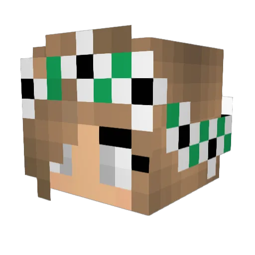 Sminami Minecraft avatar head, 3D render
