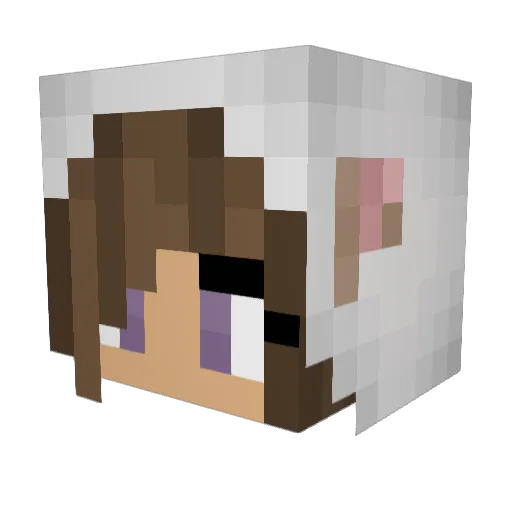 Sminky01 Minecraft avatar head, 3D render