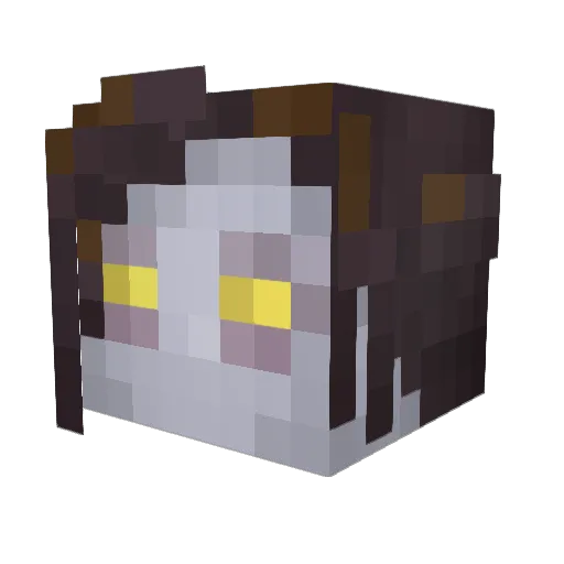 Sminom Minecraft avatar head, 3D render