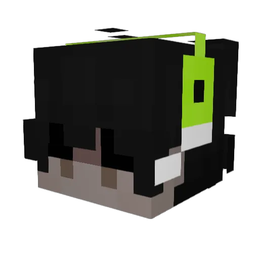 Smith003 Minecraft avatar head, 3D render