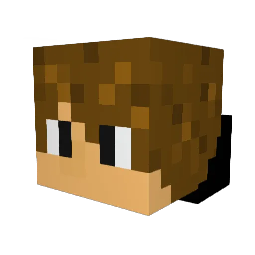Smithbros402 Minecraft avatar head, 3D render
