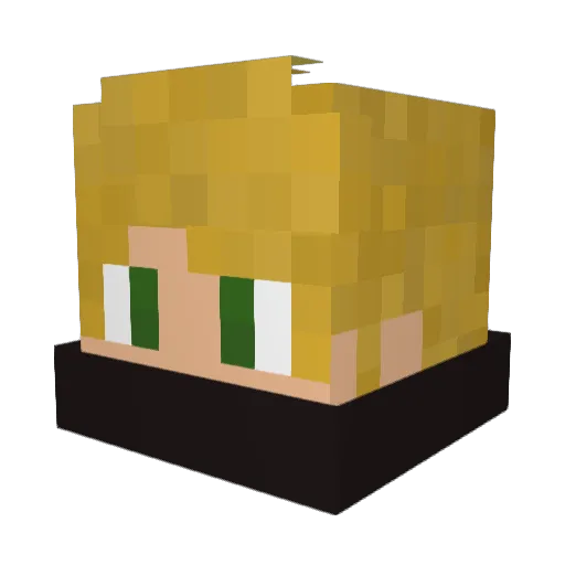 SmockMed Minecraft avatar head, 3D render