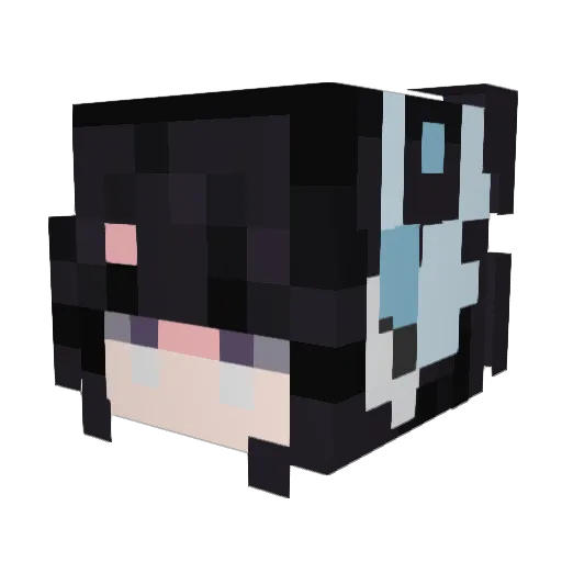Smockan1 Minecraft avatar head, 3D render