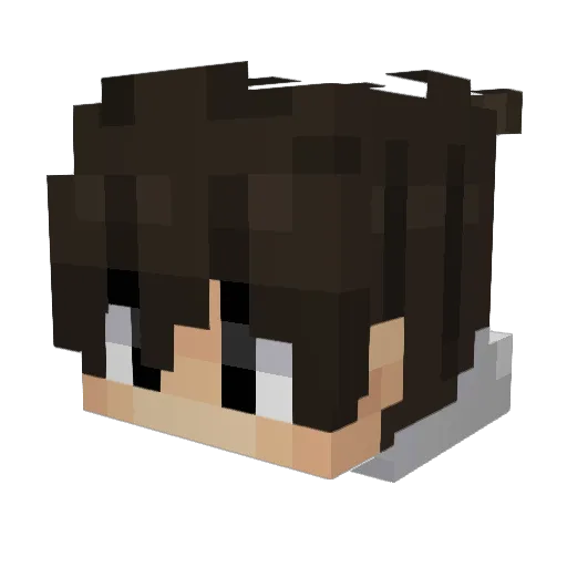 Smoggylein Minecraft avatar head, 3D render