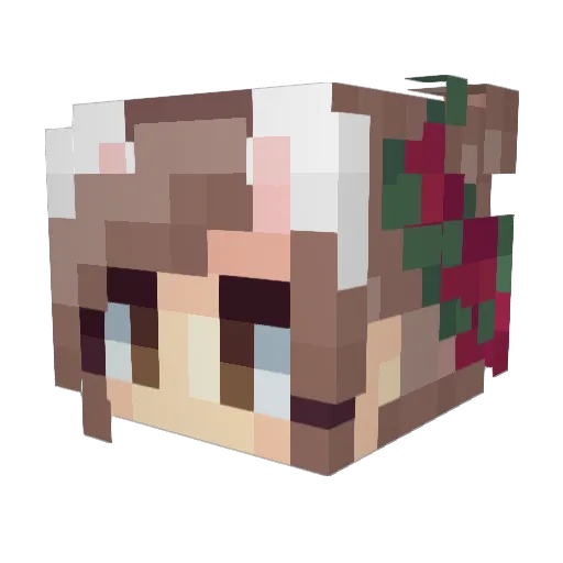 Smohena Minecraft avatar head, 3D render