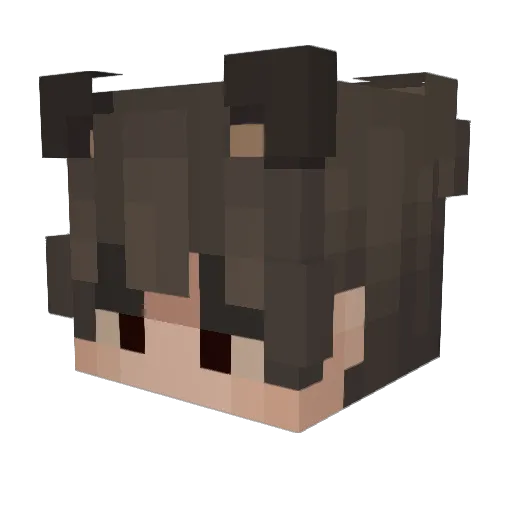 Smojo17 Minecraft avatar head, 3D render