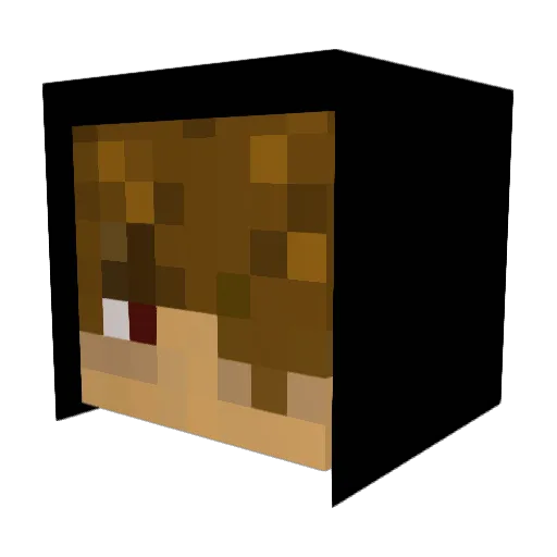 SmokeFunk Minecraft avatar head, 3D render