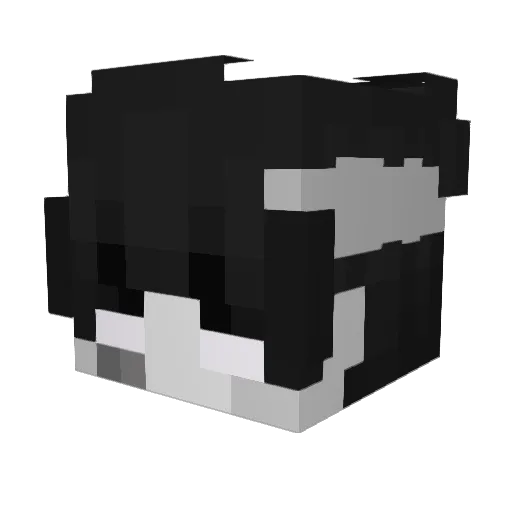 Smoke_1011 Minecraft avatar head, 3D render