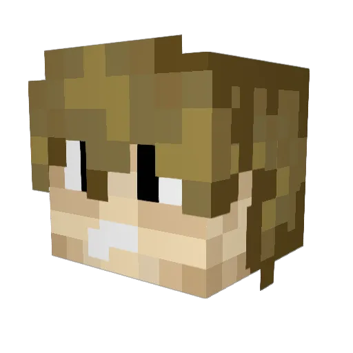 Smokedturkey69 Minecraft avatar head, 3D render