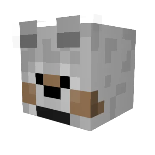 Smokehound99 Minecraft avatar head, 3D render