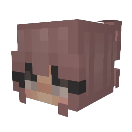 Smokes__ Minecraft avatar head, 3D render