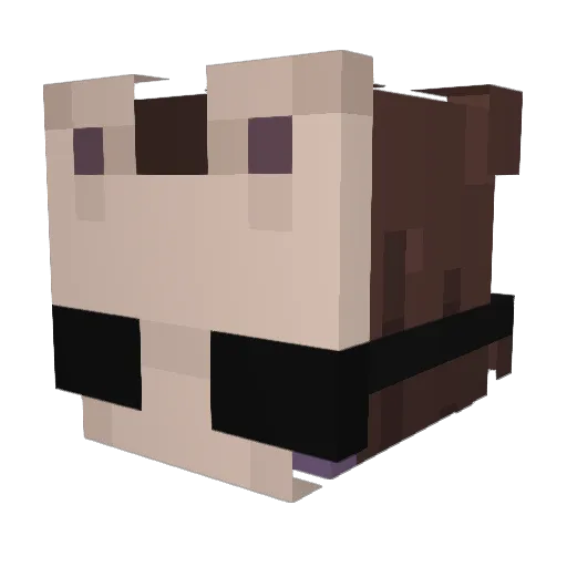 Smokey12349 Minecraft avatar head, 3D render