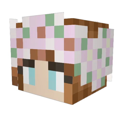 SmokeyMist52708 Minecraft avatar head, 3D render