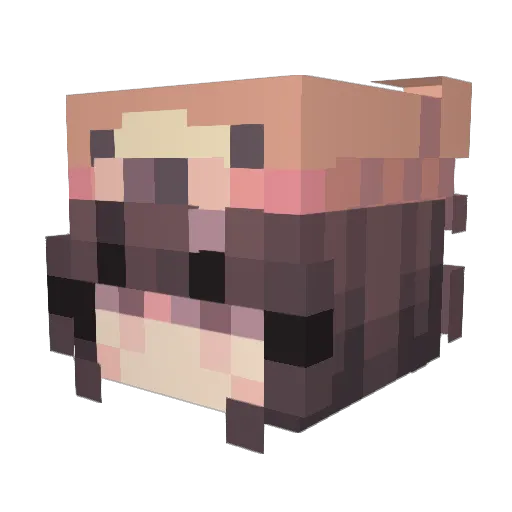 SmokeyTheBear1 Minecraft avatar head, 3D render