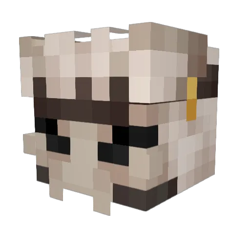 Smokiixx Minecraft avatar head, 3D render