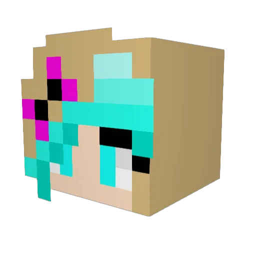 SmokingKitty Minecraft avatar head, 3D render