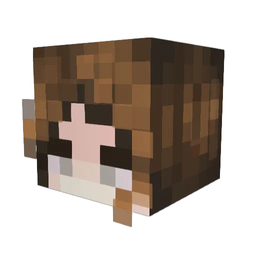 SmokyDaWolfyy Minecraft avatar head, 3D render