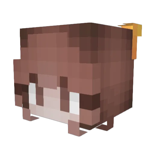 SmolMiia Minecraft avatar head, 3D render