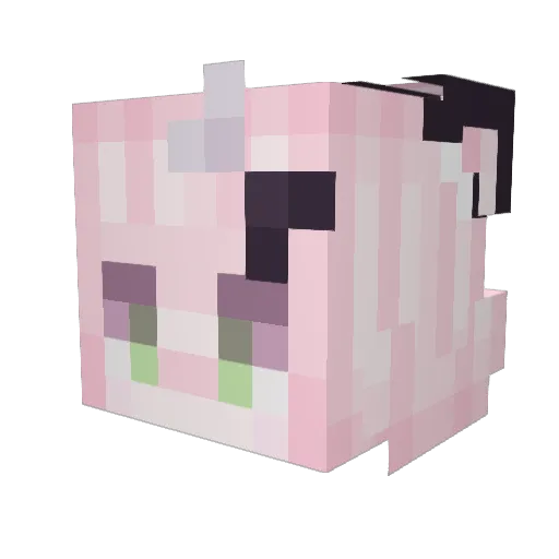 SmolTactician Minecraft avatar head, 3D render