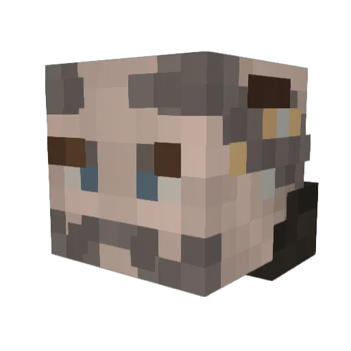 SmolWeeb7 Minecraft avatar head, 3D render