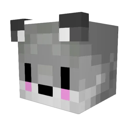 SmolYeenBeans Minecraft avatar head, 3D render