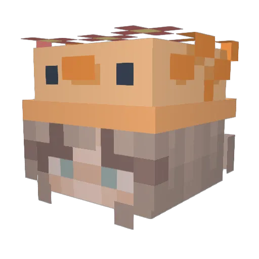 SmoleMunchkin Minecraft avatar head, 3D render