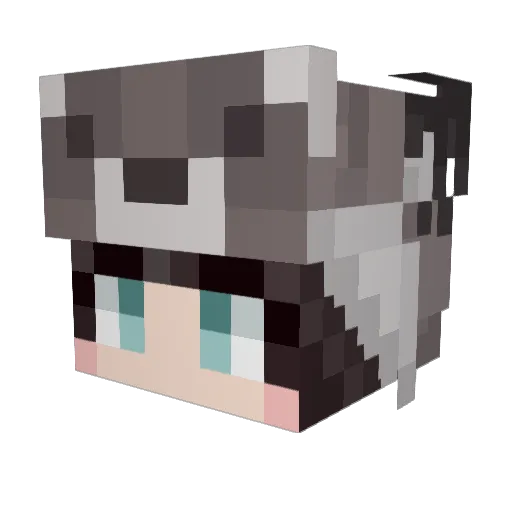 Smolrac00n Minecraft avatar head, 3D render