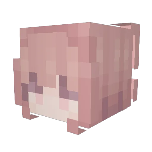 Smooke911 Minecraft avatar head, 3D render