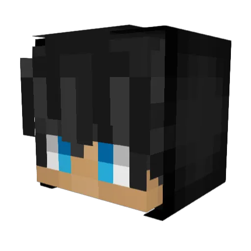 Smooth1Criminal Minecraft avatar head, 3D render