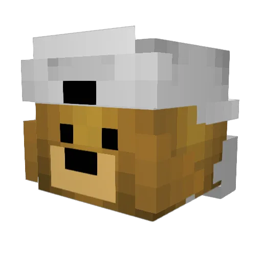 SmoothPapie010 Minecraft avatar head, 3D render
