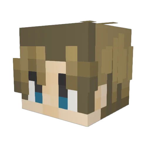 SmoothPinguin Minecraft avatar head, 3D render