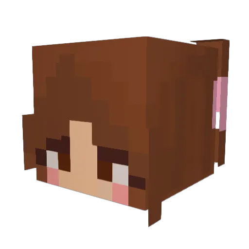 SmoothsWife Minecraft avatar head, 3D render