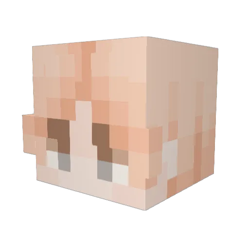 Smore05 Minecraft avatar head, 3D render