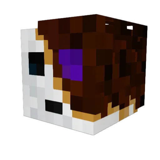 Smorxz_ Minecraft avatar head, 3D render