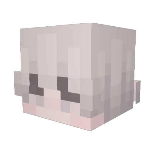 Smoutsi Minecraft avatar head, 3D render