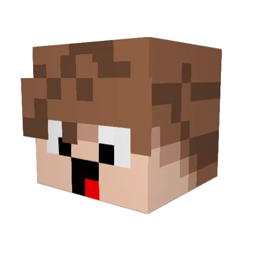 Smrkoo Minecraft avatar head, 3D render