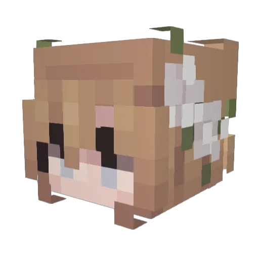 SmthinStupid Minecraft avatar head, 3D render