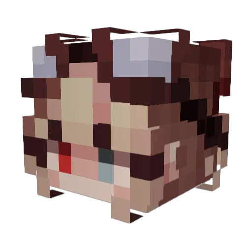 Smthn_Aki Minecraft avatar head, 3D render